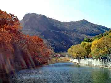 管家婆免费正版资起大全，六道沉沦